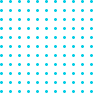 wd-blog-2